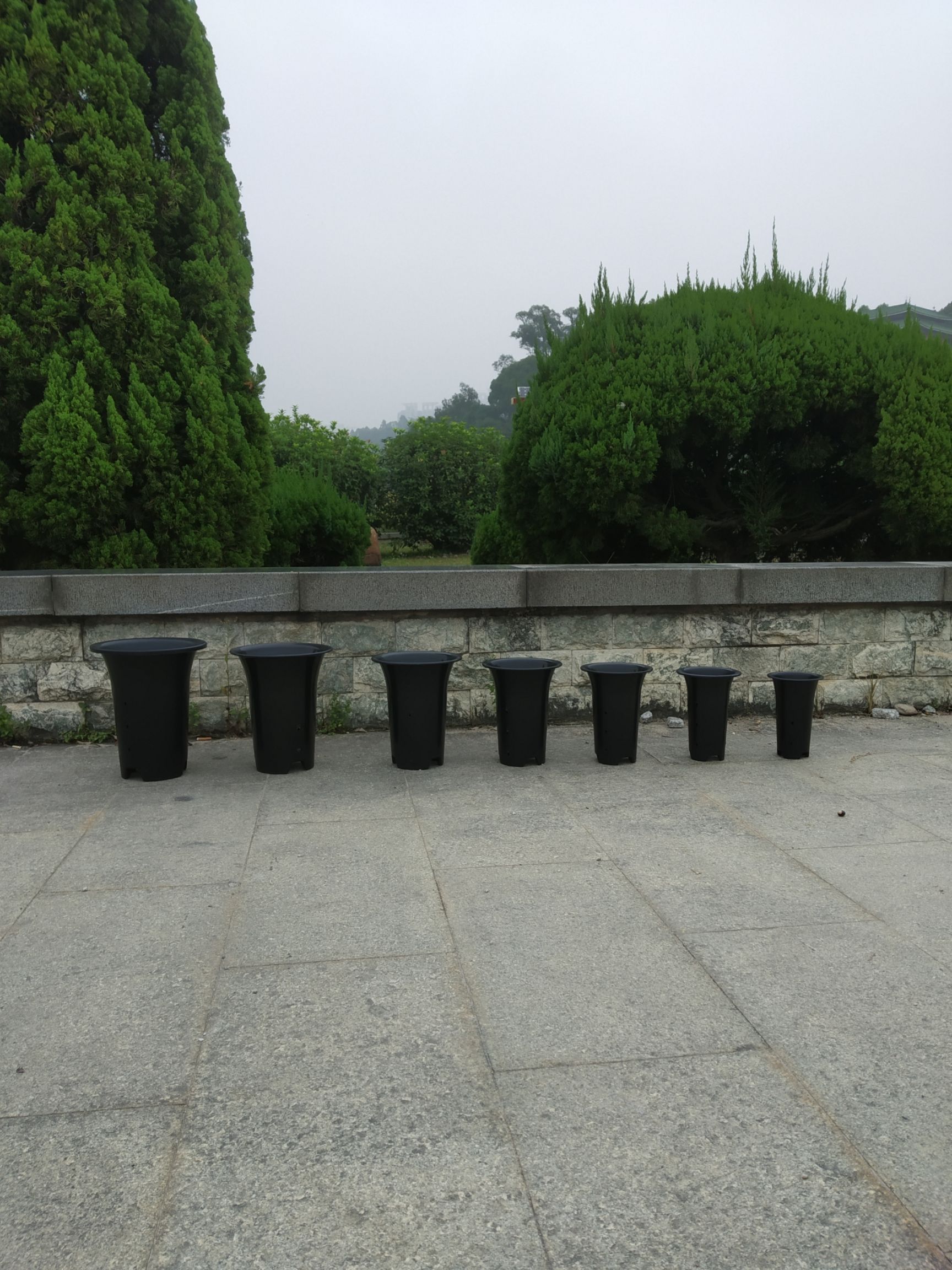  兰花盆 基地花盆 兰科专用