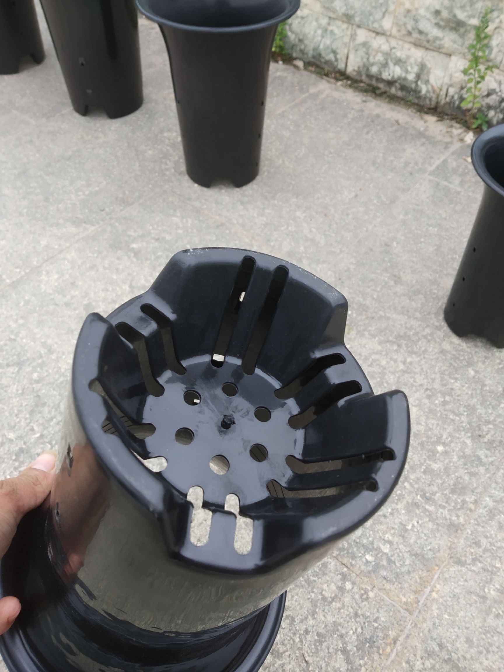  兰花盆 基地花盆 兰科专用