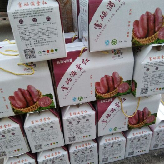 滕州市红土豆 2两以上 