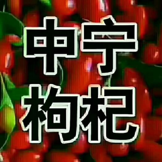银川沙漠红枸杞 特优级 