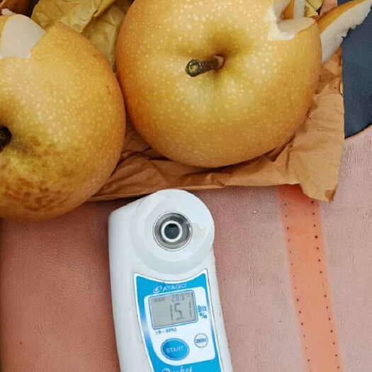 莱西市秋月梨 95mm以上 60-100g 