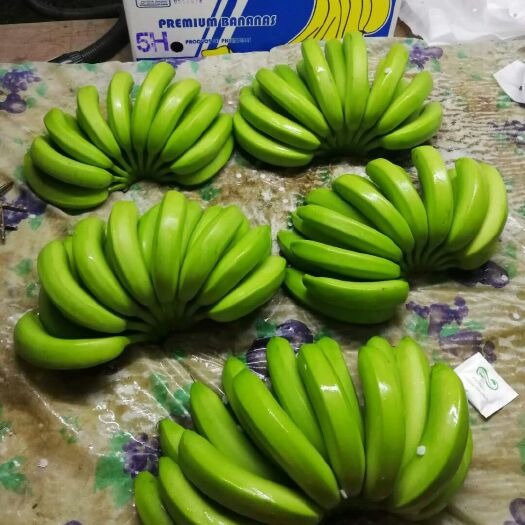 上海菲律宾香蕉 七成熟 