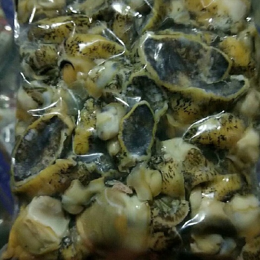 海鲜假鲍鱼 
