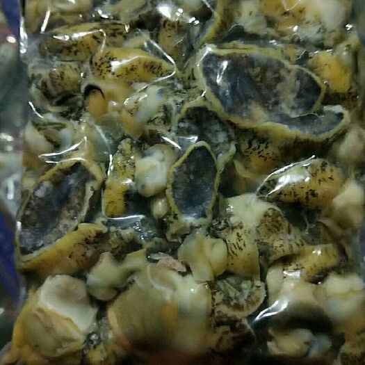 大连海鲜假鲍鱼 