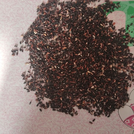扶余市黑香米 
