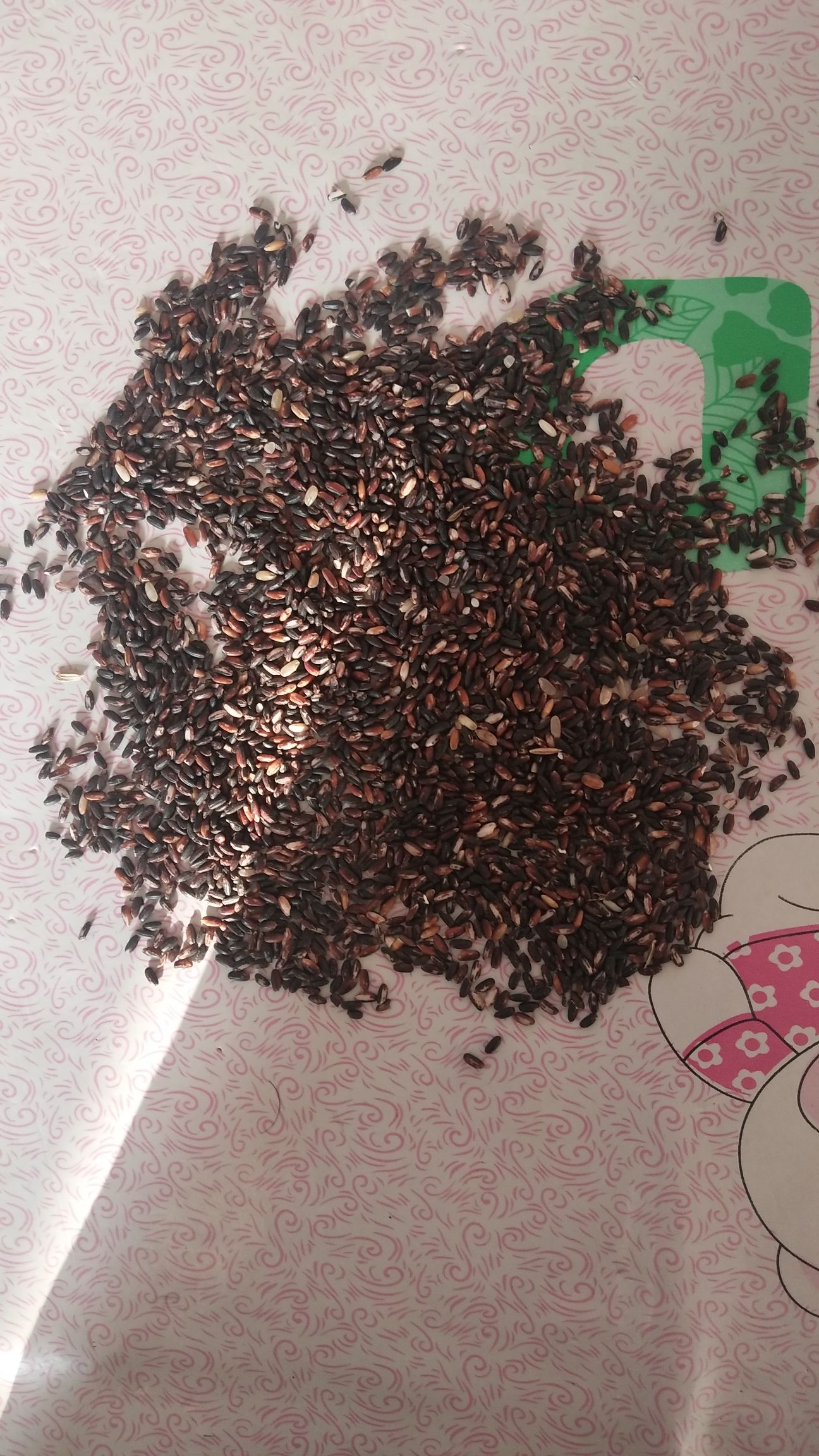 黑香米 