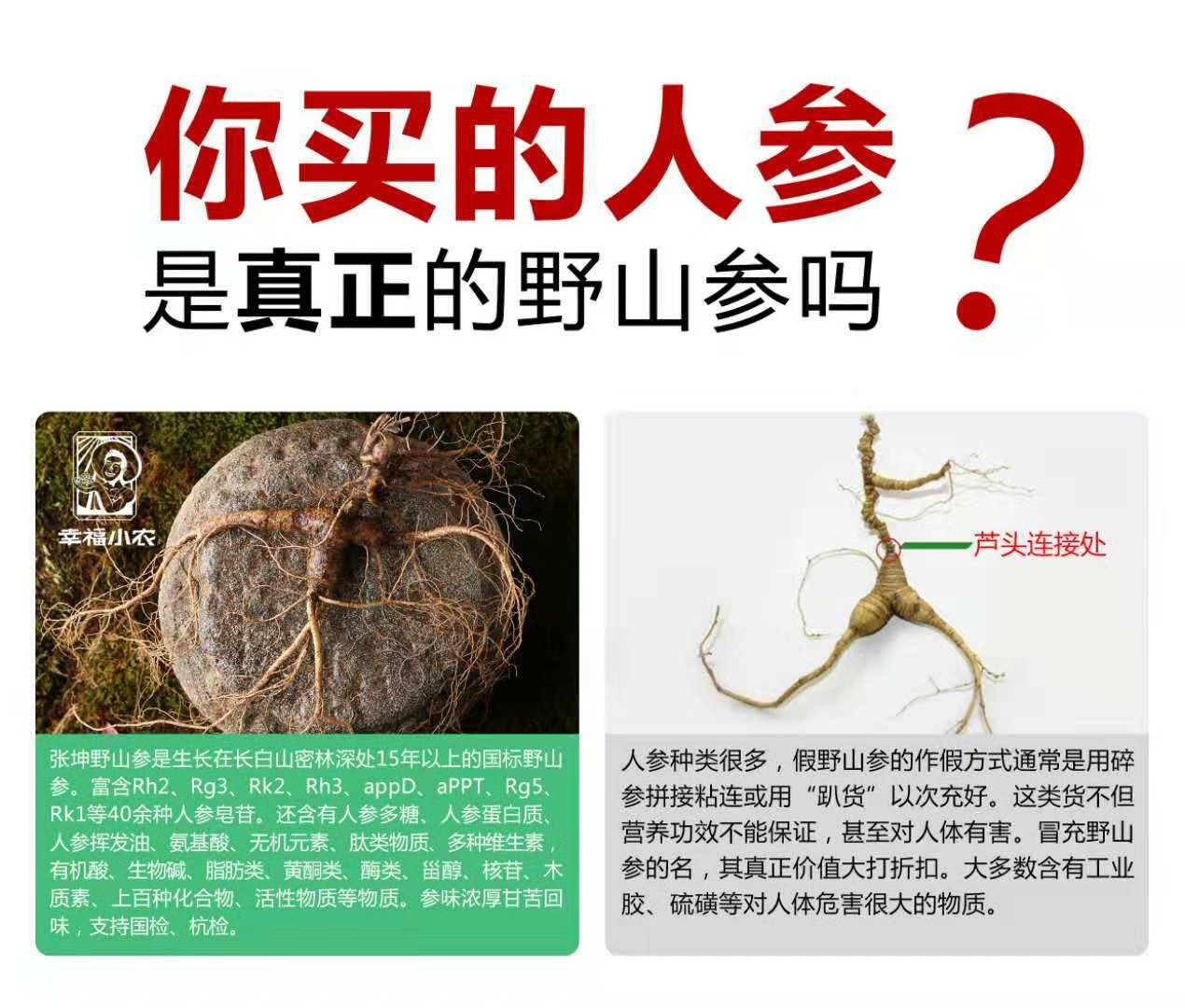长白山人参  鲜参 深山老林自然生长