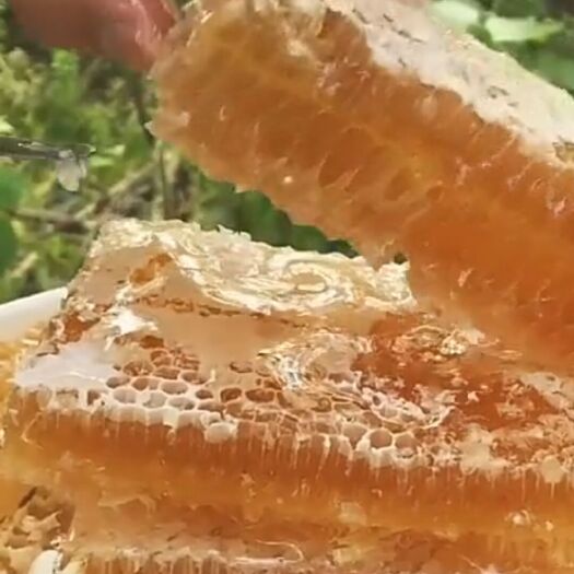 六盘水土蜂蜜 塑料瓶装 2年以上  