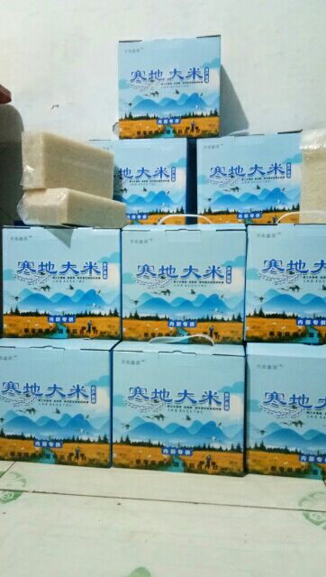 龙阳16大米 一等品 一季稻 粳米 