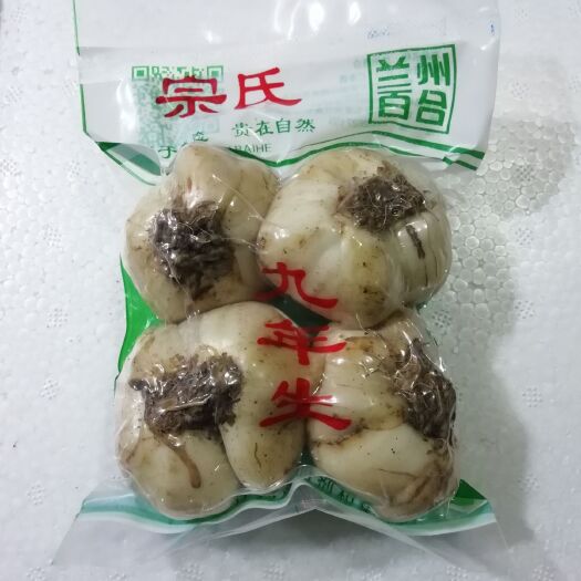 兰州 兰州鲜百合，生吃也是甜的