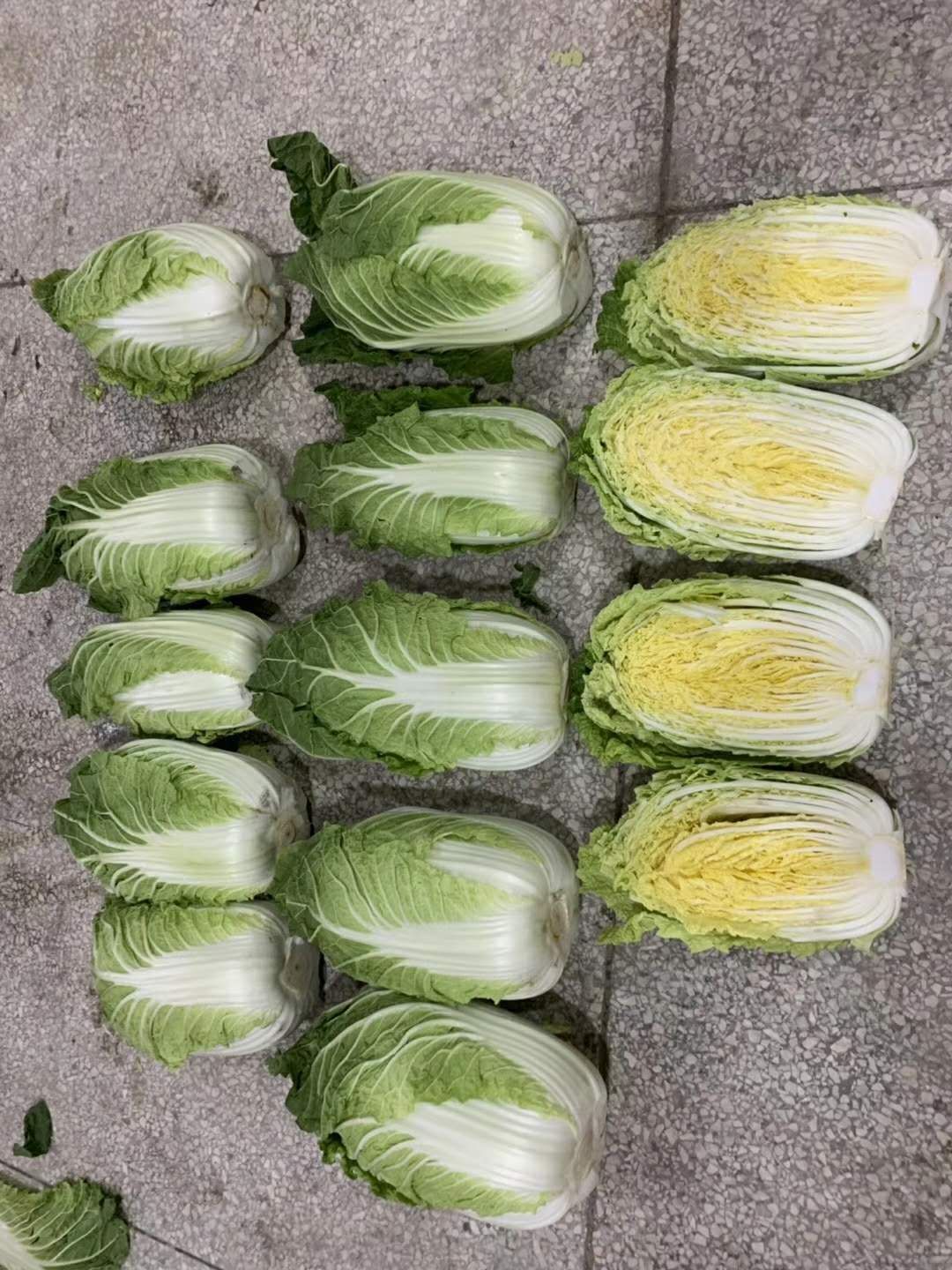 黄心大白菜 湖南省岳阳市君山区