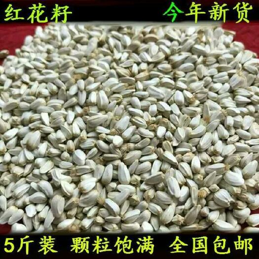红花籽 甘肃玉门红花种子 红花籽批发 甘肃玉门鸽粮红花籽