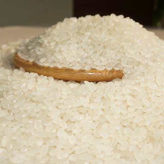 盘山县盘锦大米 一等品 晚稻 粳米 