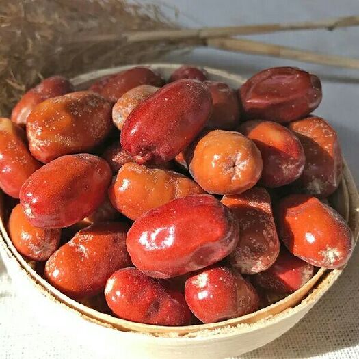 玉门市沙枣 中药材 果实籽仁类 甘肃酒泉玉门发货 新鲜质优