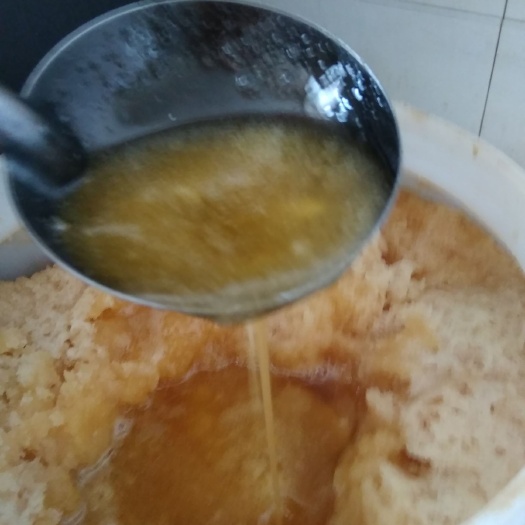 敦化市椴树蜜 桶装 2年  