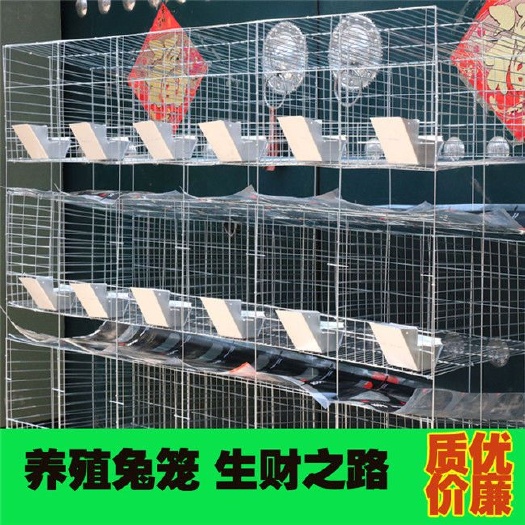 南昌县兔笼 加粗养兔生财之路