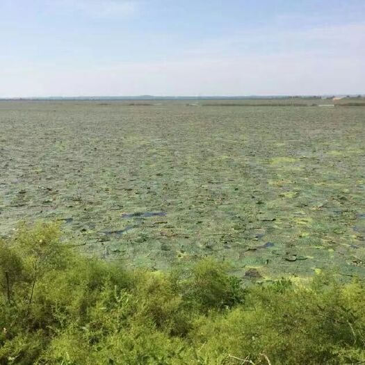 怀宁县湖泊 
