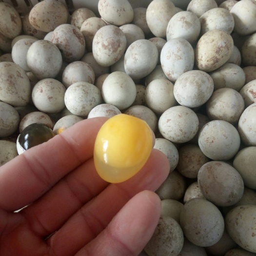 宁陵县鹌鹑皮蛋 原味