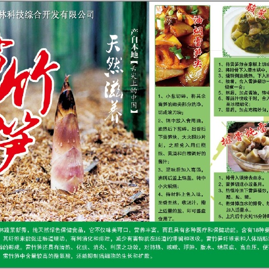 城固县春笋 鲜笋 