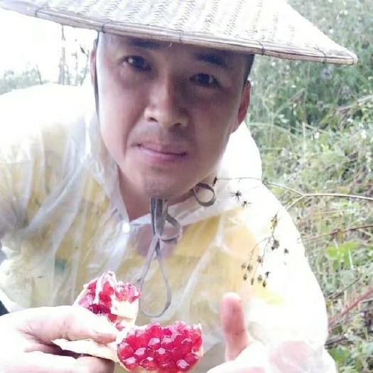 丘北县突尼斯软籽石榴 开始上市