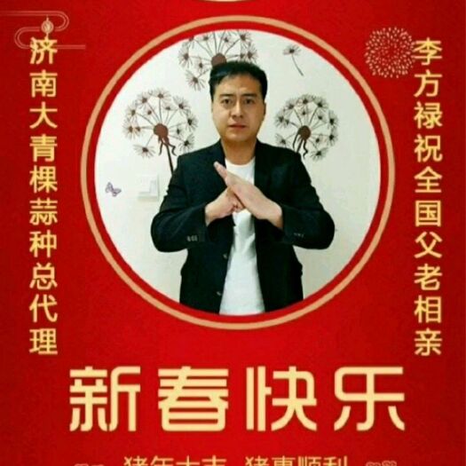 商河县杂交大蒜 6cm以上 多瓣蒜 