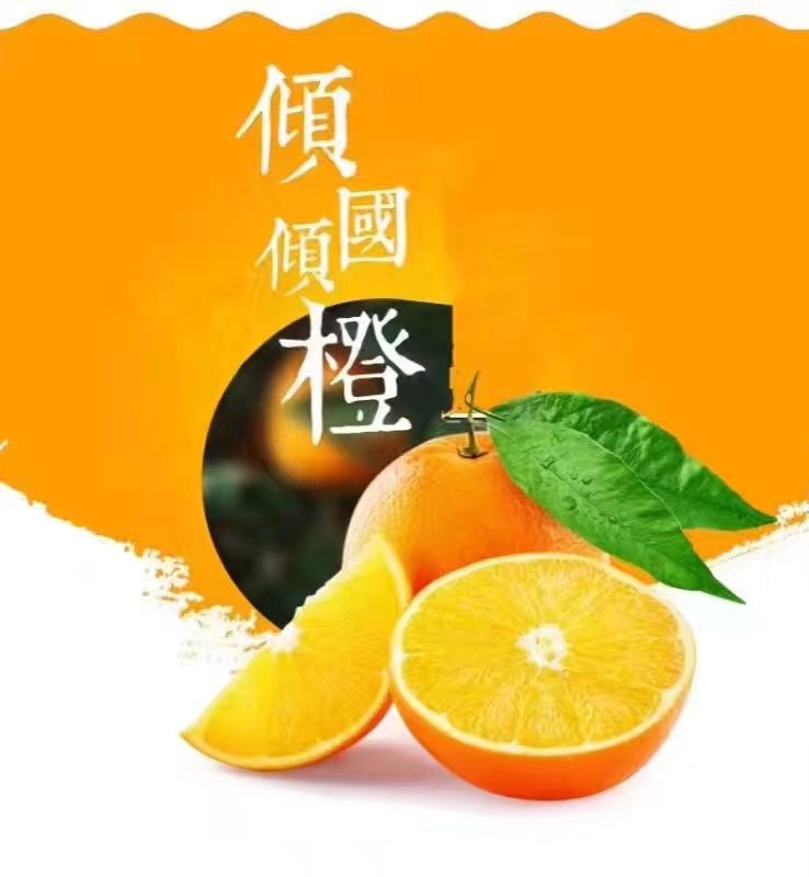 冰糖橙 55 - 60mm 4-8两 