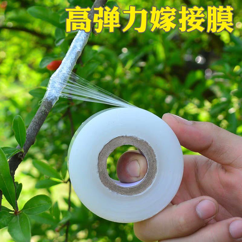 嫁接膜  厂家直销质量好