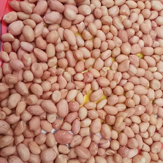 南阳白沙系列花生 干货 花生米