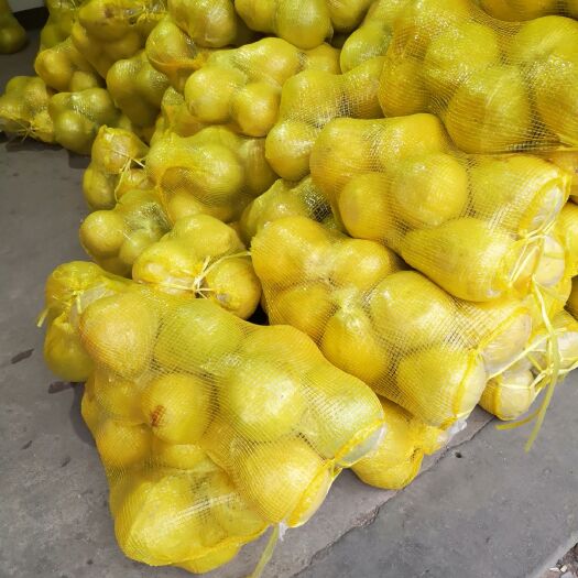 汨罗市江永香柚 2斤以上 