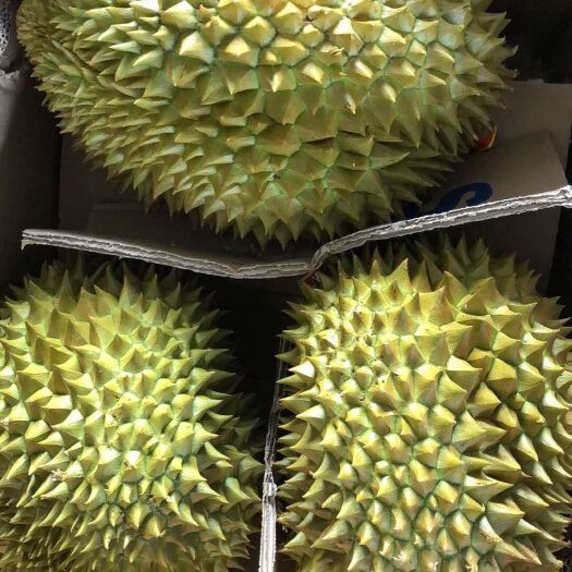 凭祥市 金枕榴莲