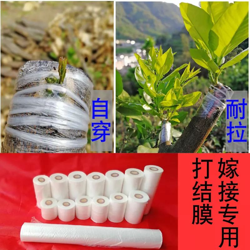 嫁接膜  厂家直销质量好