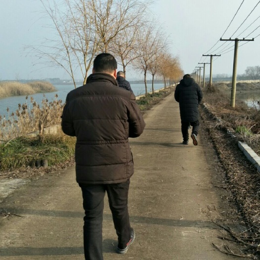 怀宁县水田 出租 5~10年 500~1000亩 