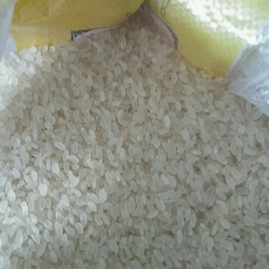 永吉县东北大米 一等品 晚稻 粳米 