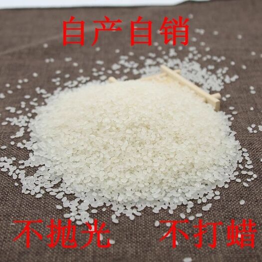 建湖县苏北大米 一等品 晚稻 粳米