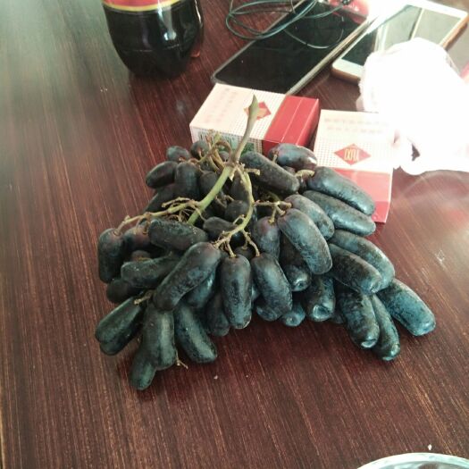 北镇市蓝宝石葡萄苗 