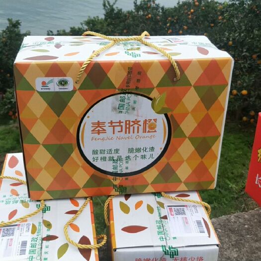 奉节 奉节脐橙礼盒10斤顺丰包邮