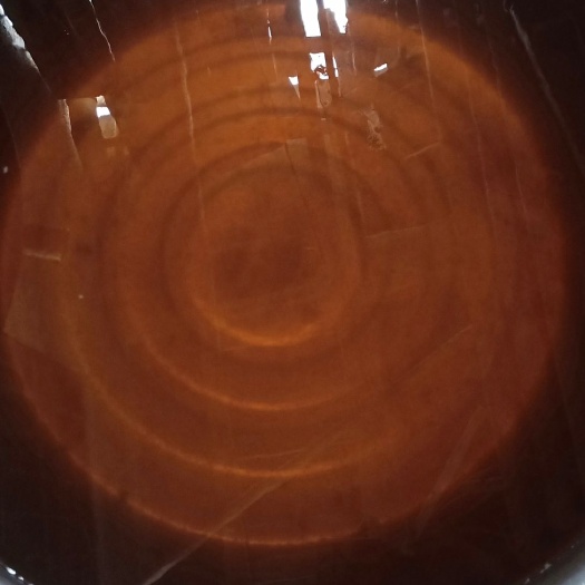 凤山县现榨山茶油 