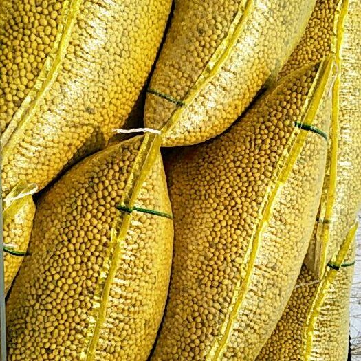 鄢陵县黄大豆 生大豆 1等品