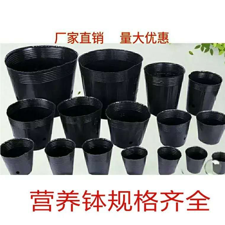 育苗袋/育苗杯/容器袋  加厚塑料育苗袋花盆育苗盆育苗袋育苗杯育苗盒营养钵营养袋营养袋