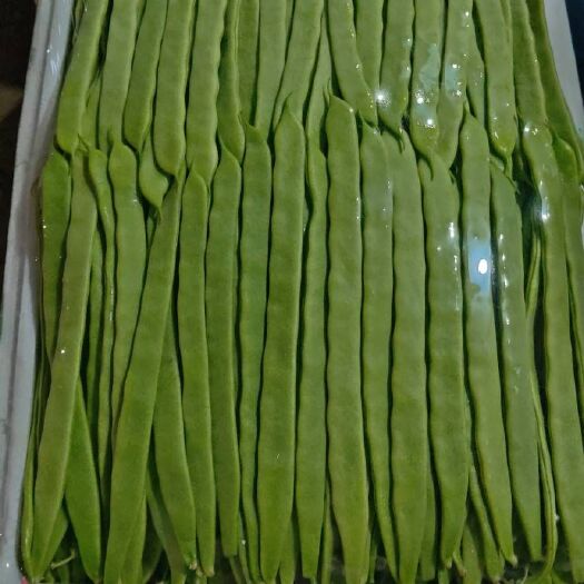 耿马县无筋豆角 40cm以下 