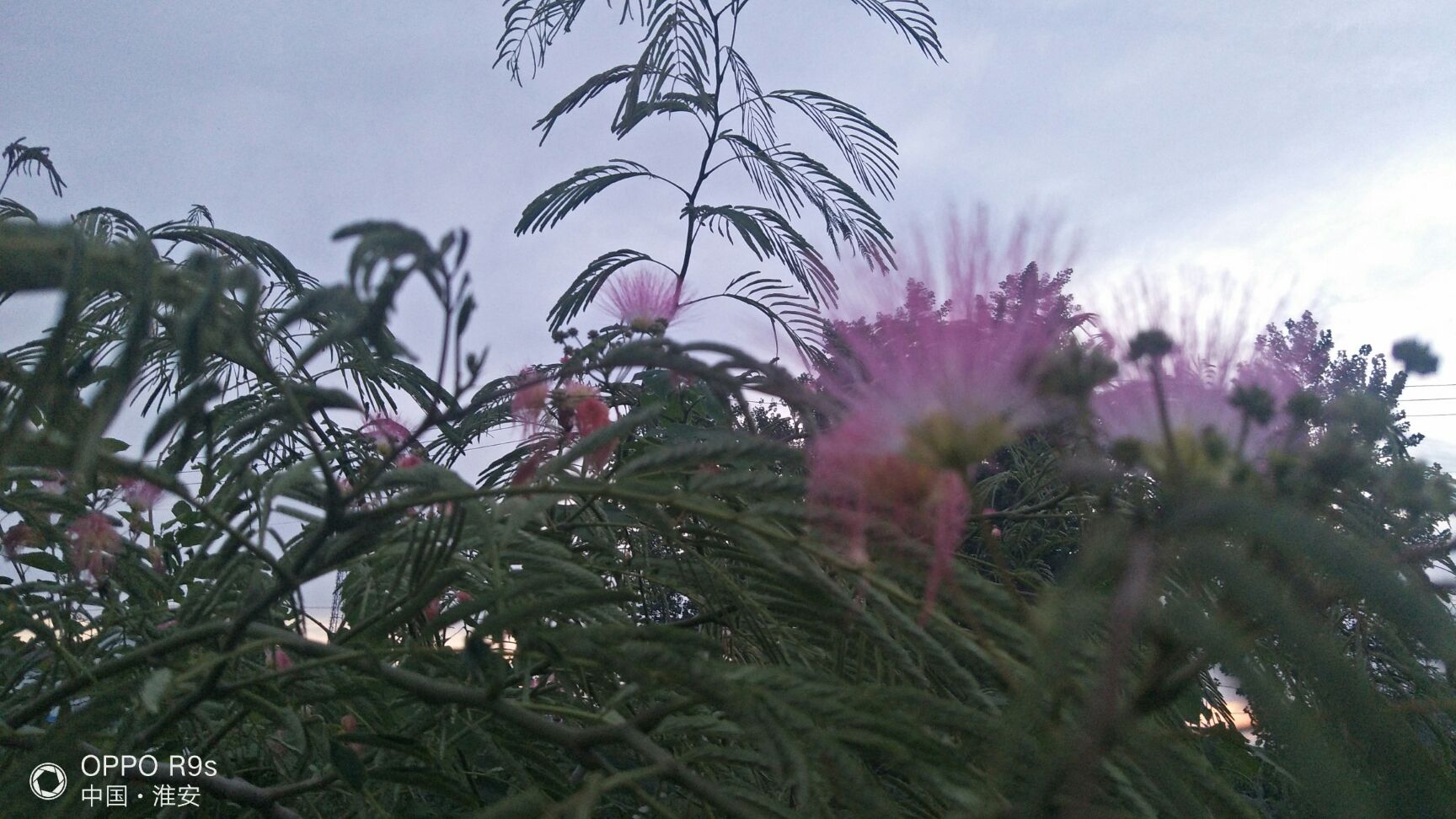  头茬西瓜结束了，感谢大家关心，二茬在有25天上市，