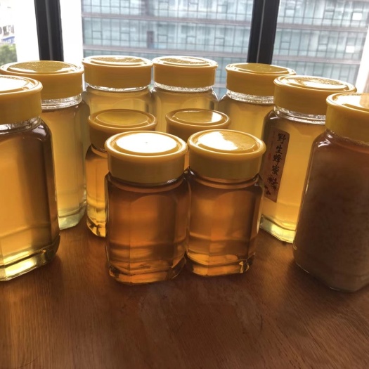 安吉县 正宗野生土蜂蜜2019新蜜