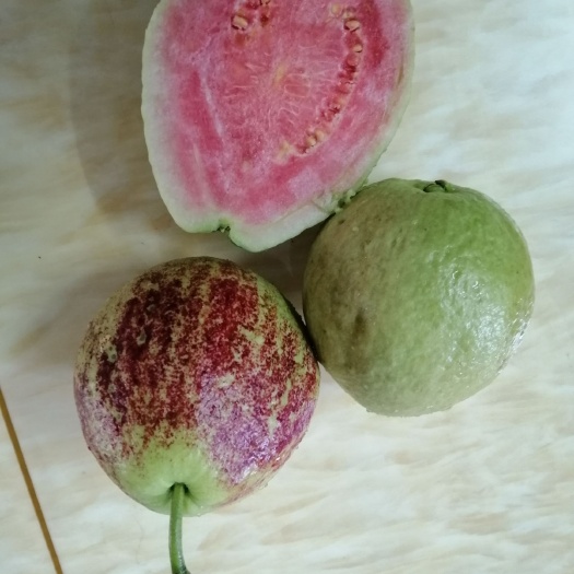 博罗县红心芭乐 250-300克 