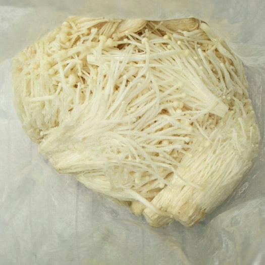 铁岭白金针菇 未开伞 1.5cm以下 10cm~13cm 三级 