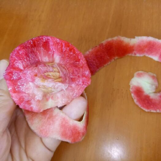 泰安 血桃苗