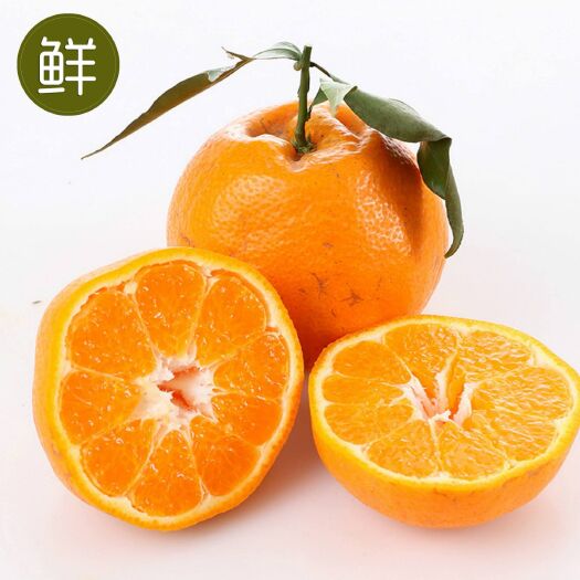 资阳耙耙柑 5.5 - 6cm 4两以上 