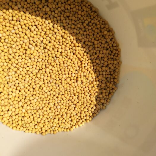 旬阳市东升1号 生大豆 1等品 