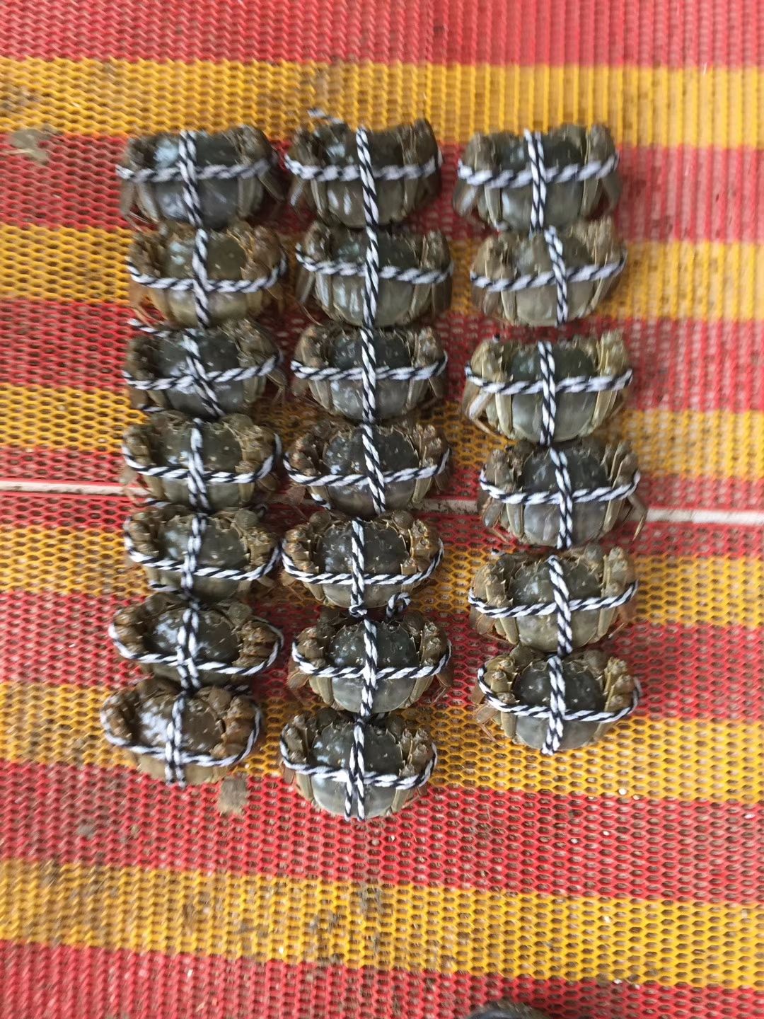 ***大闸蟹 统货 2.0-2.5两 