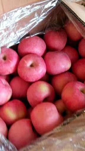 【产地推荐】优质山东红富士苹果 拉丝条纹偏红的都 质量保证