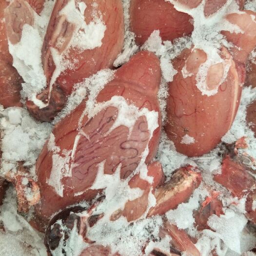 冠县羊腿肉  简加工 羊宝